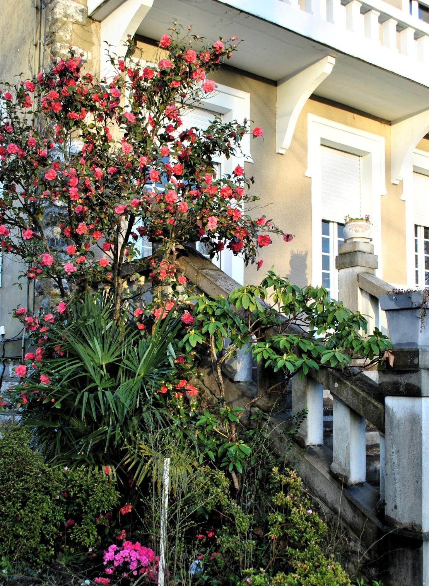 Villa Hortebise Salies-de-Béarn Exteriér fotografie