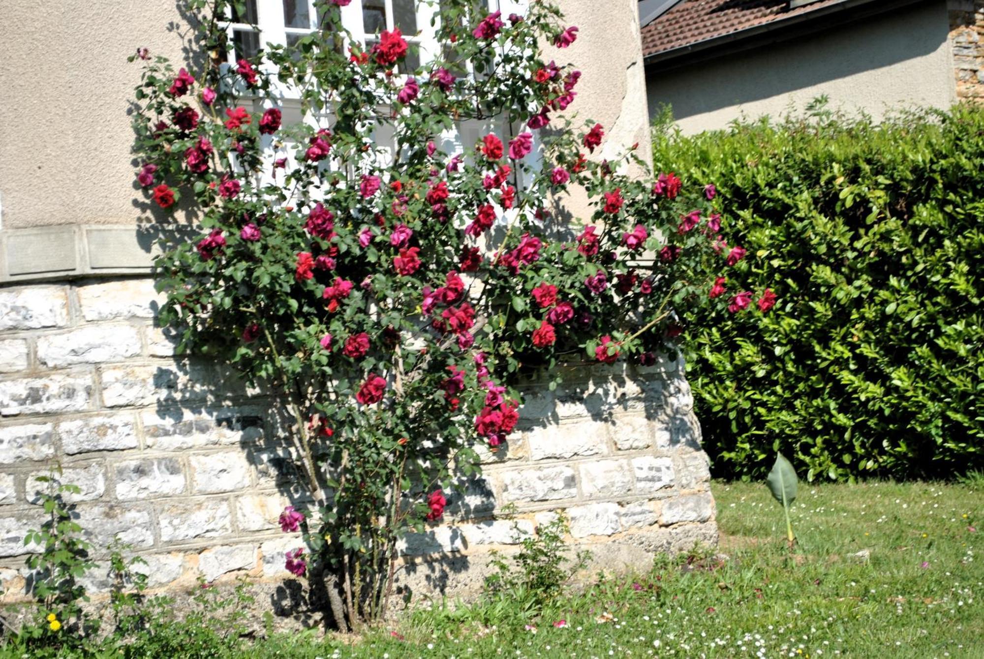 Villa Hortebise Salies-de-Béarn Exteriér fotografie